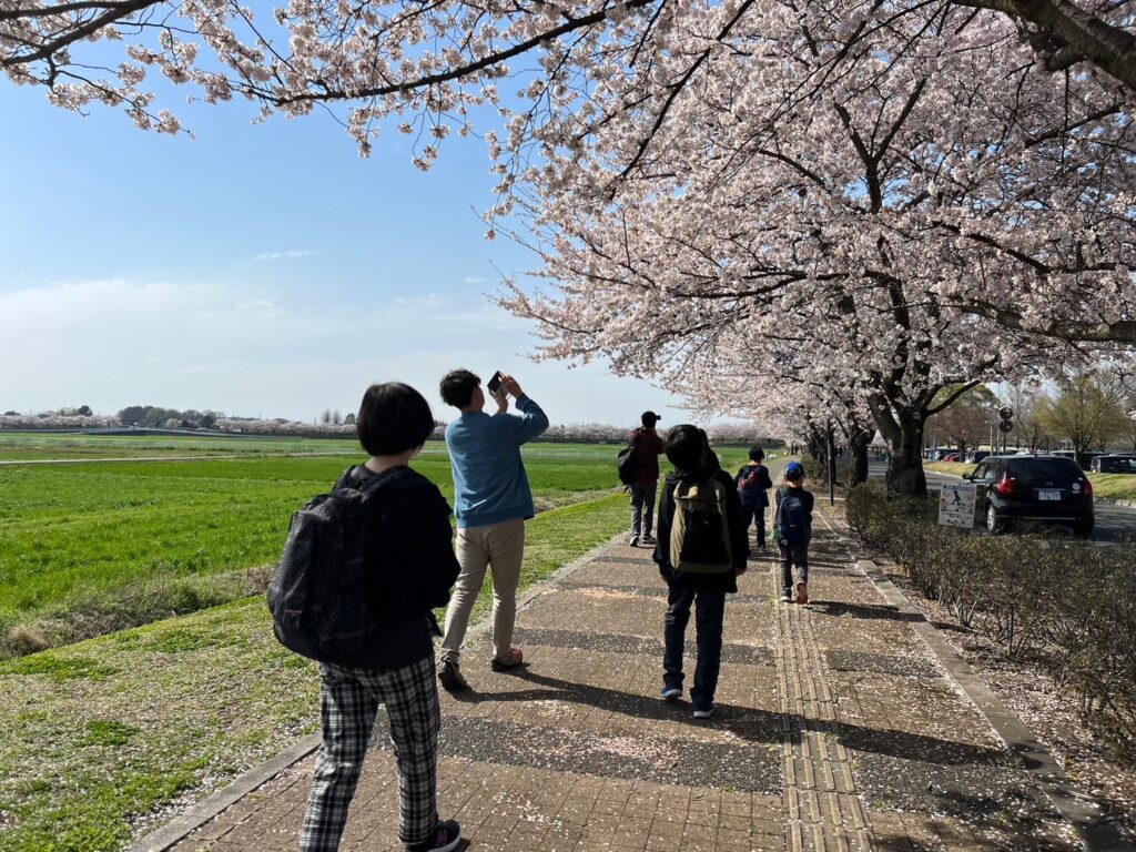 お花見に行きました！